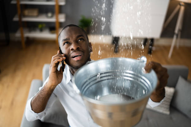 Best Ceiling water damage repair  in Midway, NC