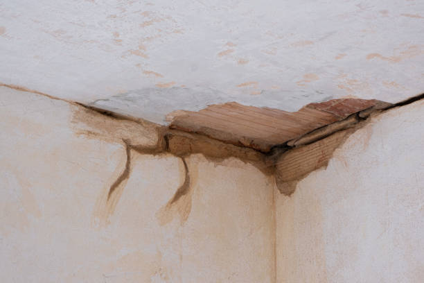  Midway, NC Water damage restoration Pros