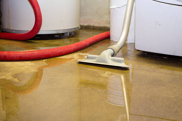 Best Sewage cleanup and water damage restoration  in Midway, NC