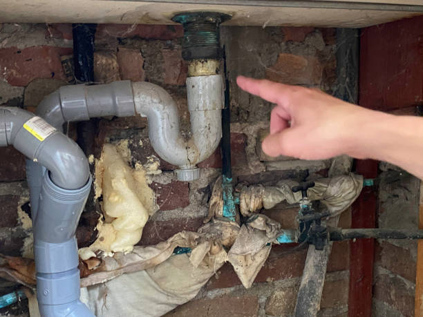 Best Local water damage restoration  in Midway, NC