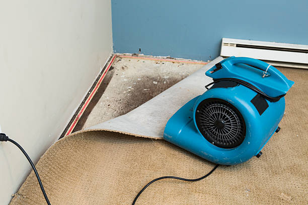 Trusted Midway, NC Water damage restoration Experts